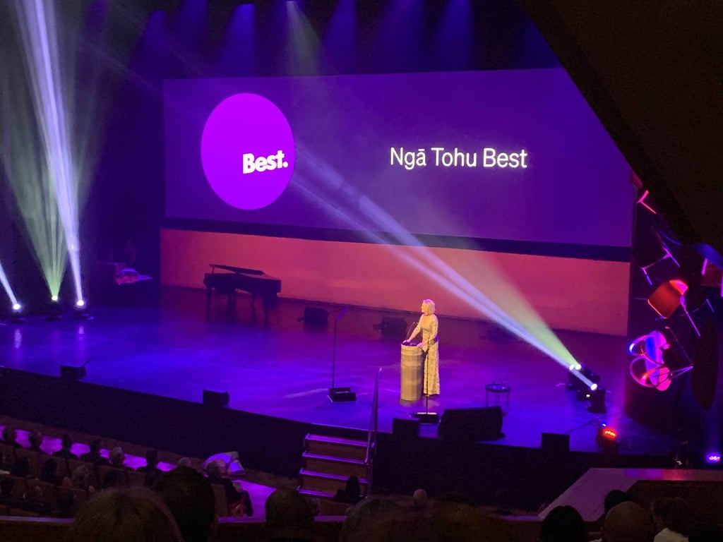 DINZ Best Design Awards: Kakapo