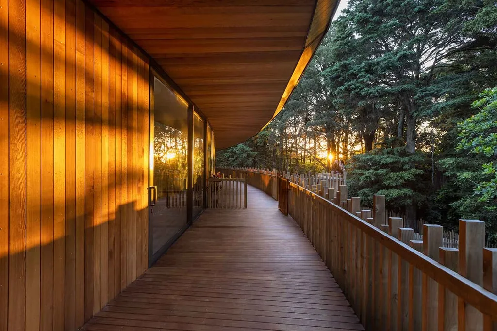 Gaia (Earth) Forest Preschool featured on Designboom